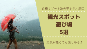 白樺リゾート池の平ホテル周辺の観光スポット・遊び場5選!天気が悪くても楽しめるスポットも紹介!